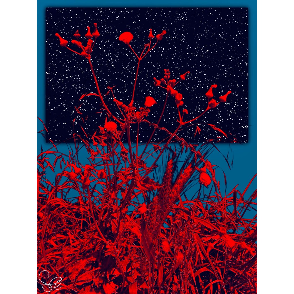 Art + Music Update: Colorful Composites & Electroacoustic Opera